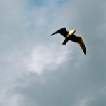 Photography 101: Four Final tips