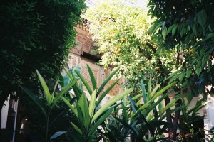 el Bahia Palace obscured by some of garden