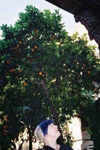 Nic under orange tree in el Bahia Palace garden
