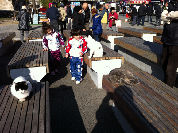 kids_cats