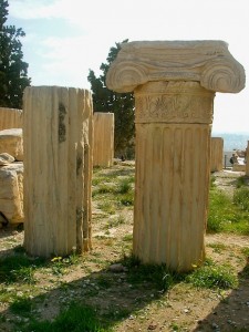 disassembled_columns