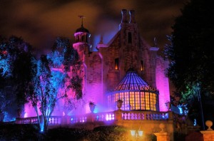 Walt Disney World Gallery Photo