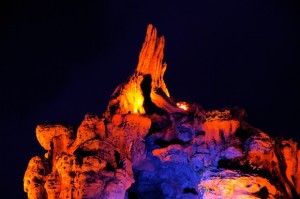 Walt Disney World Gallery Photo