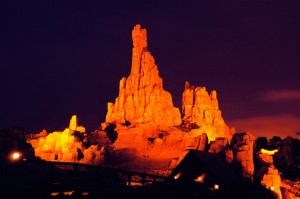 Walt Disney World Gallery Photo