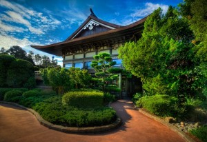 Walt Disney World Gallery Photo
