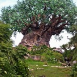 Disney’s Animal Kingdom [Repost]